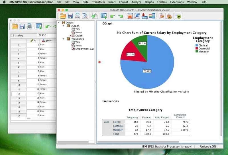 IBM SPSS Statistics — captura de tela 3